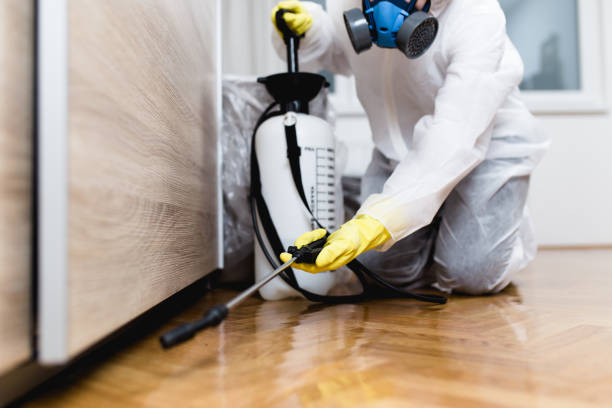 Best Pest Control Cost  in Vamo, FL