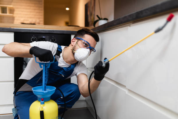 Best Flea Control Services  in Vamo, FL
