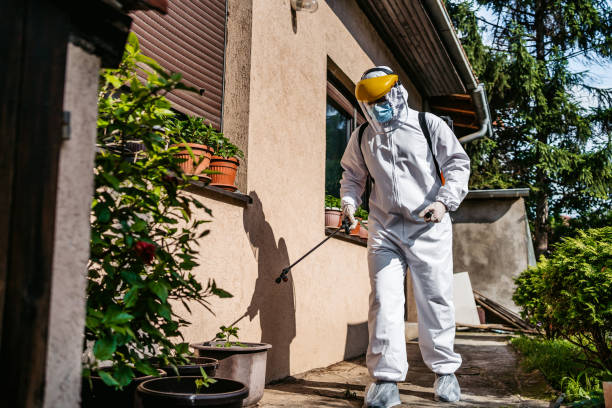 Best Spider Control Near Me  in Vamo, FL