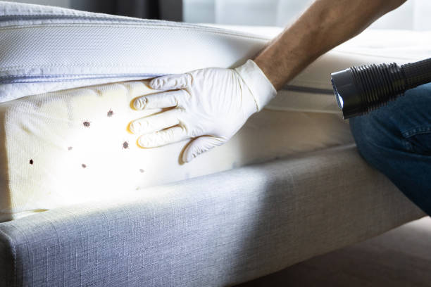 Best Commercial Pest Control Services  in Vamo, FL