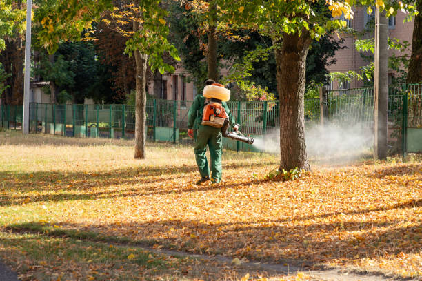 Best Emergency Pest Control  in Vamo, FL