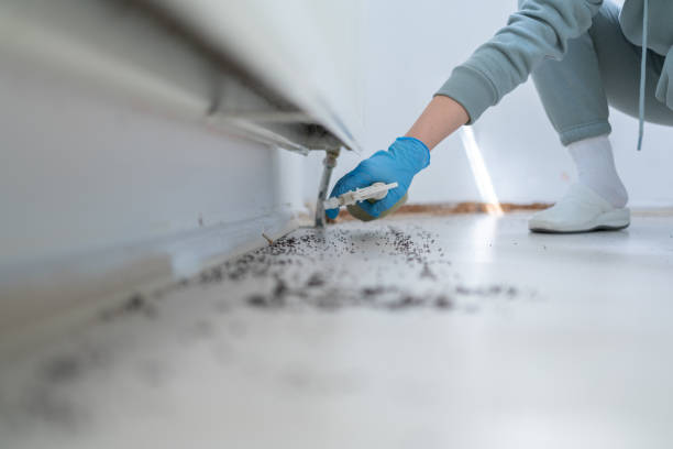 Vamo, FL Pest Control Company